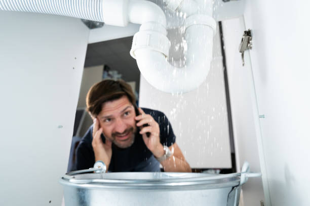 Best Affordable Plumbing Services  in Alturas, FL