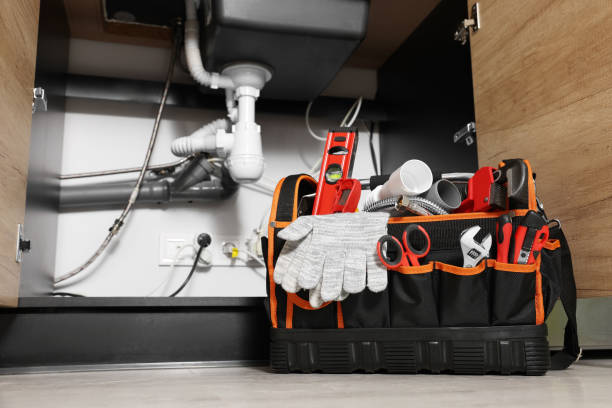 Best Sprinkler Systems  in Alturas, FL