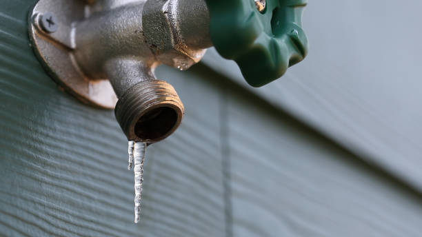 Best Pipe Repair Near Me  in Alturas, FL